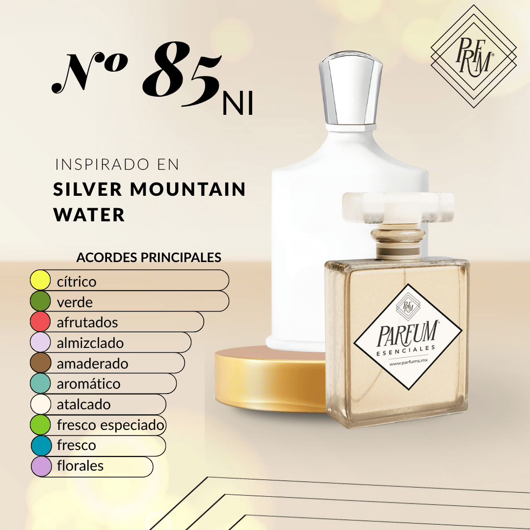 85NI- inspirado en SILVER MOUNTAIN UNISEX